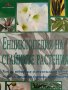 Енциклопедия на стайните растения- Дорте Нисен, снимка 1 - Други - 42637515