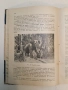 Животнитѣ от биологично гледище - Борис Митов (1935, Луксозна изработка, Отлично състояние), снимка 8
