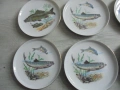 № 8467 Сет от 9 порцеланови чинии с илюстрации на риби  Colditz Germany, снимка 3