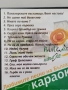 Да запеем любимите песни на България, караоке, снимка 2