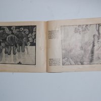 Антикварен албум "Албумъ гоблени" - издание на сп. Домакиня и майка- 1937г. , снимка 3 - Антикварни и старинни предмети - 31673402