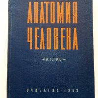 Анатомия Человека - М.Курепикина,Г.Воккен - 1963г. , снимка 10 - Специализирана литература - 39010401