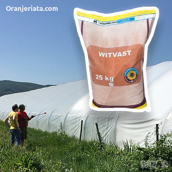 Боя за засенчване на оранжерии Witvast 25КГ, снимка 1