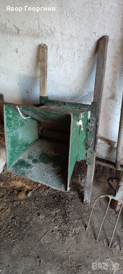 Гроздомелачка, снимка 1