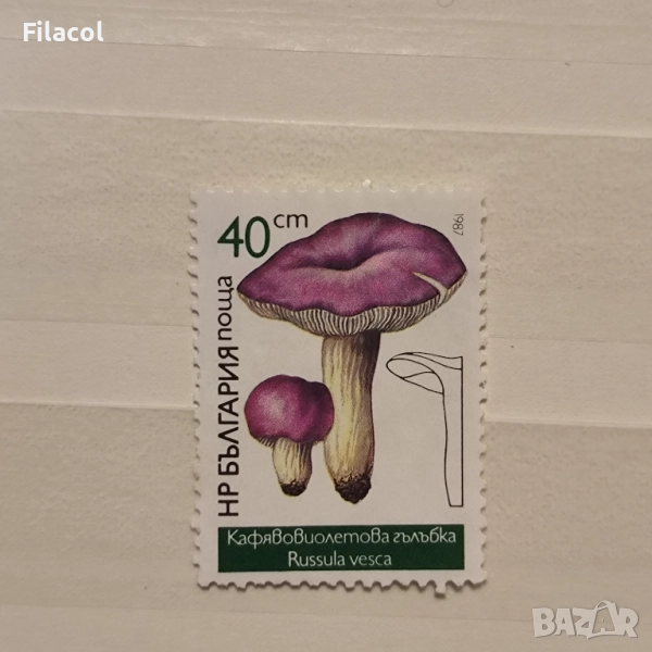 България 1987 Ядливи гъби., снимка 1