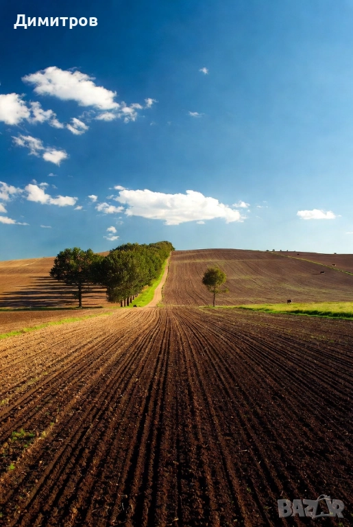 Продавам поземлен имот в землището на с. Мусачево, град София 13.1 дка на 600м от потбалкански път, снимка 1