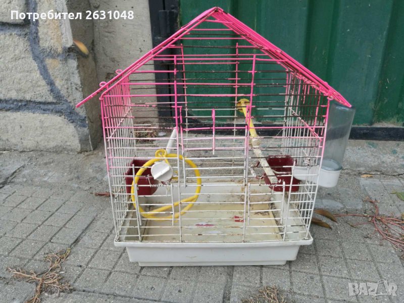 клетка за папагали в Папагали в гр. Кърджали - ID38568577 | Bazar.bg