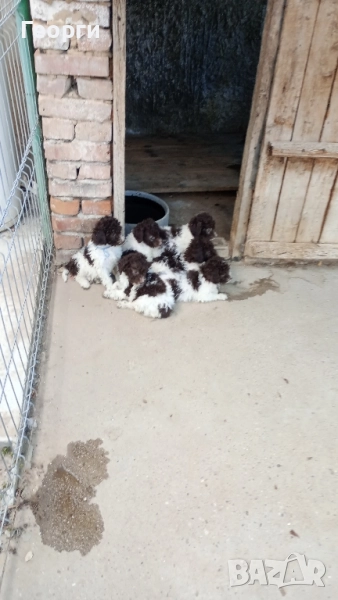 Лагото Романьоли , снимка 1