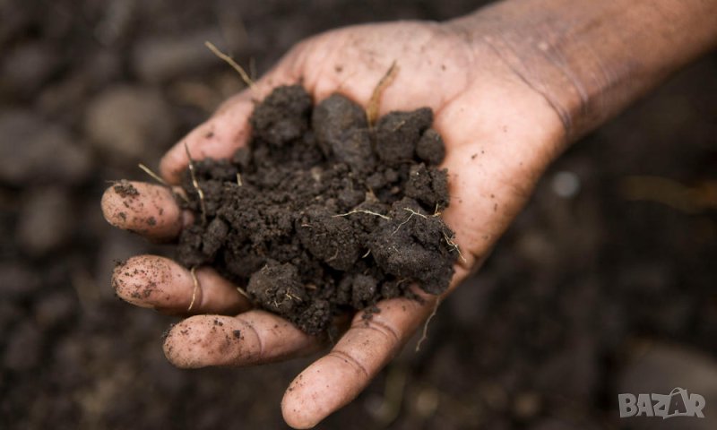 Чернозем ПОЧВА плодородна без добавени компоненти.. Универсална почва за отглеждане на зеленчуци, снимка 1