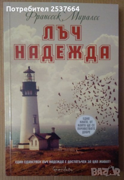 Лъч надежда  Франсеск Миралес, снимка 1