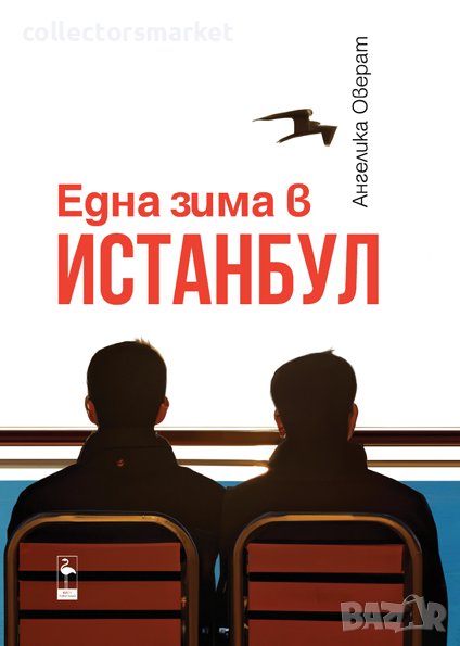 Една зима в Истанбул, снимка 1