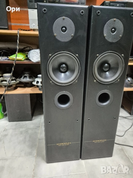 Тонколони Audioflex AX-PRO, снимка 1