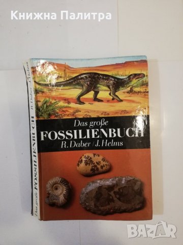 Das grobe Fossilienbuch 