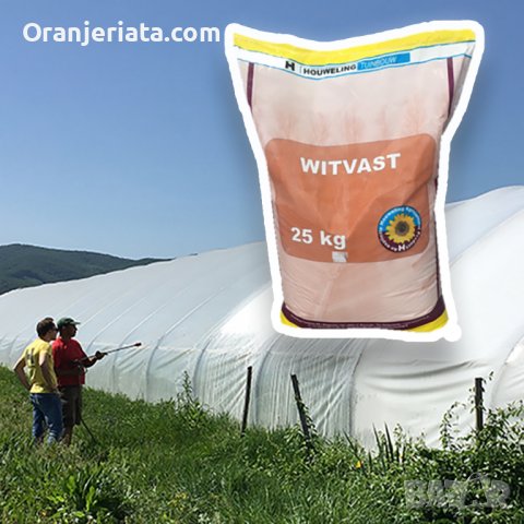 Боя за засенчване на оранжерии Witvast 25КГ