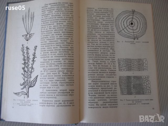 Книга "Технология сахара - П. М. Силин" - 624 стр., снимка 4 - Учебници, учебни тетрадки - 40451124