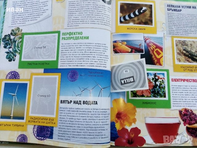 Стикер- албум "Изобретено от природата" - Била, снимка 5 - Колекции - 38452223