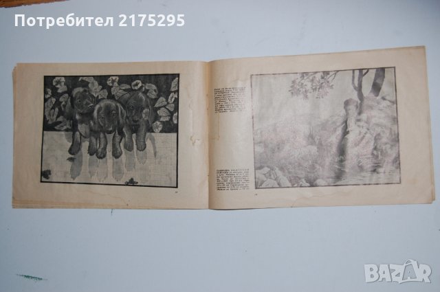 Антикварен албум "Албумъ гоблени" - издание на сп. Домакиня и майка- 1937г. , снимка 3 - Антикварни и старинни предмети - 31673402