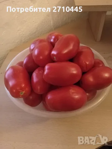 СЕМЕНА от домати, пипер, камби и др. 