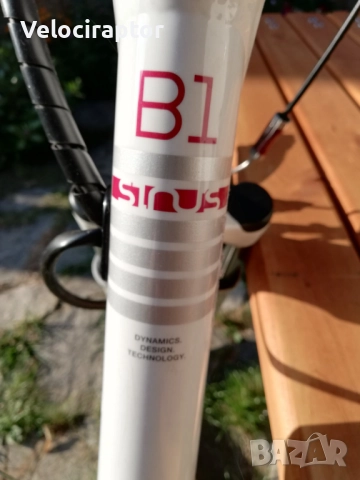 Електрически велосипед Winora Sinus B2 BOSCH , снимка 5 - Велосипеди - 52091783