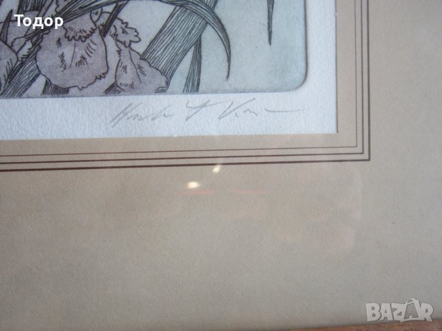 Картина офорт гравюра подписана , снимка 3 - Картини - 37396487