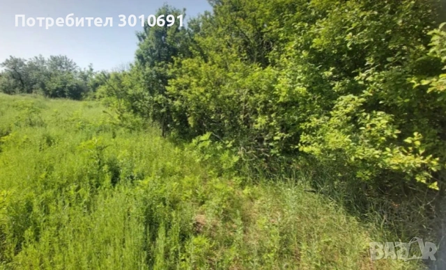 Парцел , снимка 3 - Парцели - 54208589