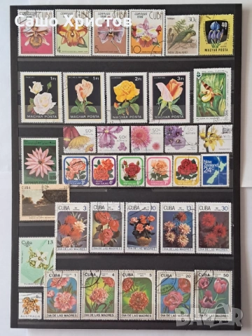 Пощенски марки тема ”Растения”., снимка 6 - Филателия - 53981322