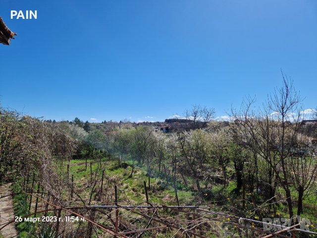 Къща в село Борован, снимка 7 - Къщи - 40508340