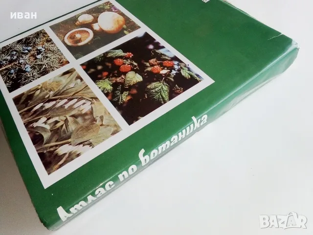 Атлас по Ботаника - Сл.Петров,Е.Паламарев - 1994г.  , снимка 9 - Наука, техника и компютри - 42277632