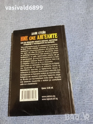 Даян Стейн - Ние сме ангелите , снимка 3 - Езотерика - 54173659