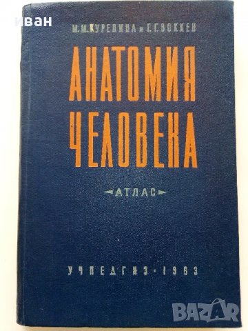 Анатомия Человека - М.Курепикина,Г.Воккен - 1963г. , снимка 10 - Специализирана литература - 39010401