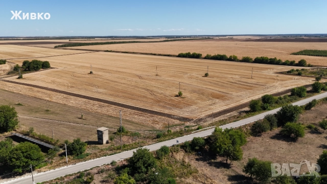 Стара къща в село Сокол, обл. Силистра , снимка 11 - Къщи - 45406043