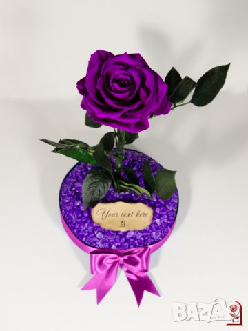 Лилава Вечна Роза в Стъкленица / Оригинален Подарък за Жена / Лилава Естествена Вечна Роза, снимка 5 - Ръчно изработени сувенири - 37067134