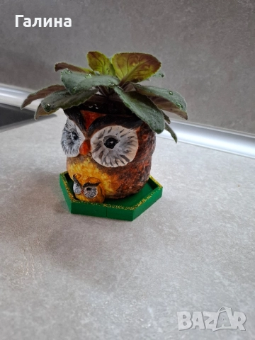 Декоративна саксийка с теменужка, снимка 5 - Саксии и кашпи - 51661743