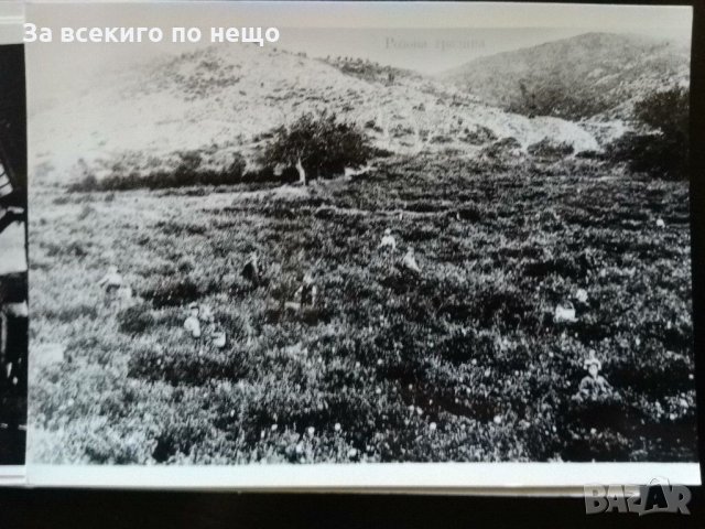 15 бр. Оригинални Гланцирани снимки на Старото Карлово издадени през 1988 год. в футляр, снимка 12 - Антикварни и старинни предмети - 31739015