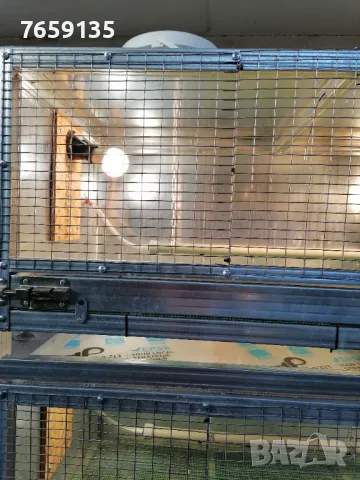 Пъдпъдъци, снимка 9 - Други - 42516806