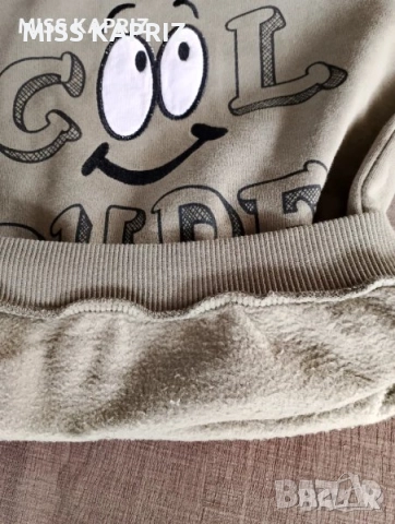 Блузи за момче 5г.( 110см), снимка 12 - Детски анцузи и суичери - 41372050