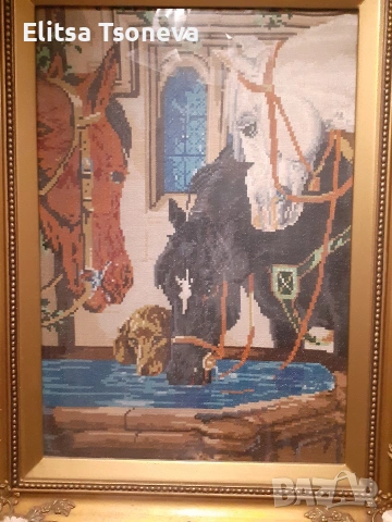 конски запой