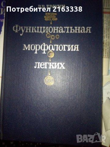 ФУНКЦИОНАЛЬНАЯ МОРФОЛОГИЯ ЛЕГКИХ от В.В.Ерохин