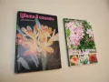 Диворастящи гъби – Ц. Хинкова, Н. Колев, М. Друмева-Димчева, Г. Стойчев, снимка 6