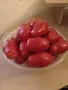 СЕМЕНА от домати, пипер, камби и др. , снимка 1