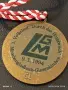 Три медала Медальон реплика на Императорски печат - Крал Карл Германия 16013, снимка 9