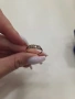 Златен пръстен с диамант, снимка 3