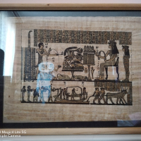 Египетски папирус 20лв