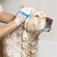 Подвижен душ с четка за къпане на домашни любимци – Pet Bathing Tool, снимка 3 - Други стоки за животни - 29524766