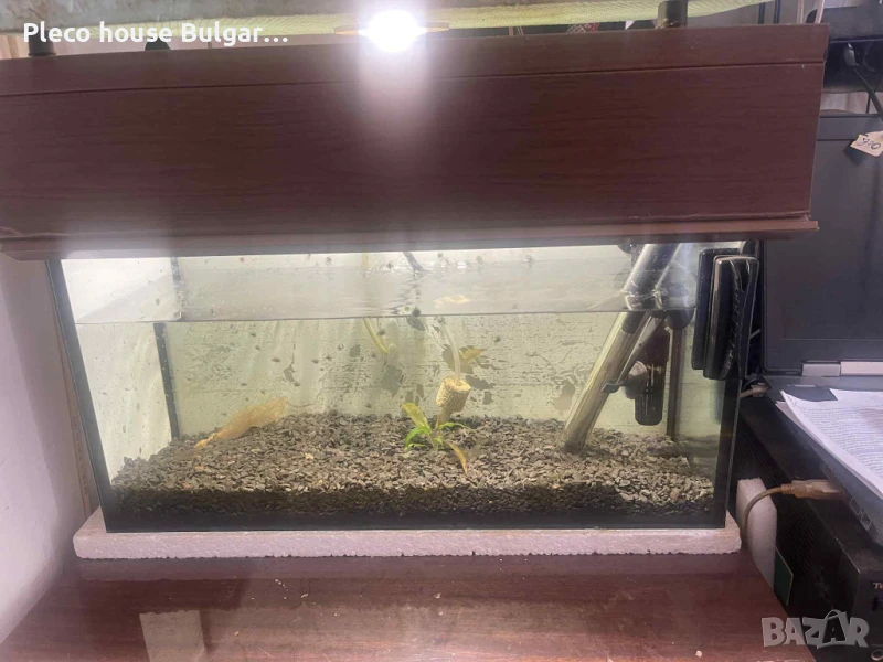 АКВАРИУМ 36 литра, снимка 1