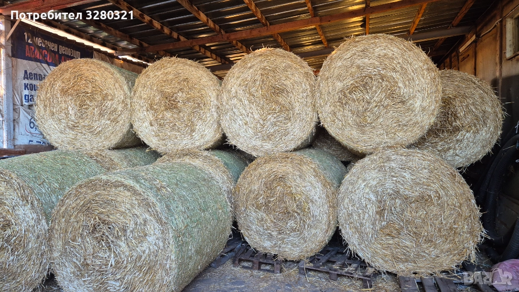 Бали ролонни Ечемик и Пшеница 2025г., снимка 1