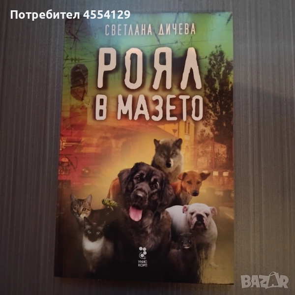 Роял в мазето Автор: Светлана Дичева, снимка 1