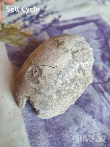 ✅ФОСИЛ - СТРИДА❗