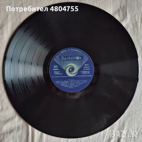 Салво - грамофонна плоча.  , снимка 3 - Грамофонни плочи - 55983578