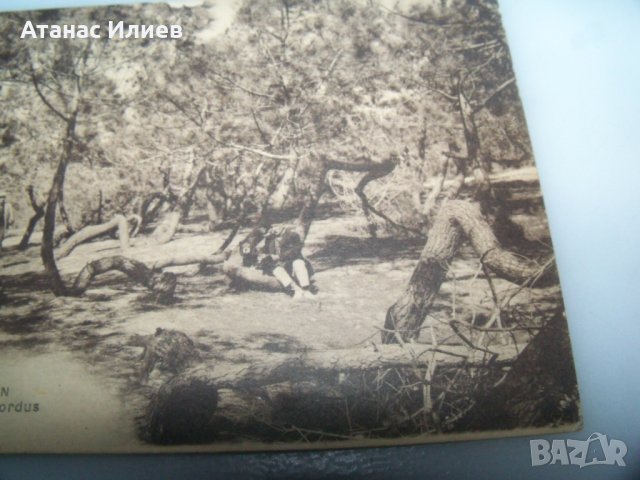 Стара пощенска картичка от Lacanau Франция, снимка 4 - Филателия - 42798300